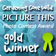 Post image for Picture This Photo Contest “Down on your Knees”