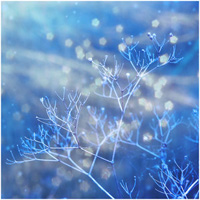 Thumbnail image for “The Leaf, the Witch and the Water-feature”