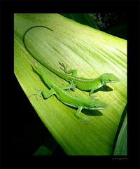 Thumbnail image for Photography Competition: