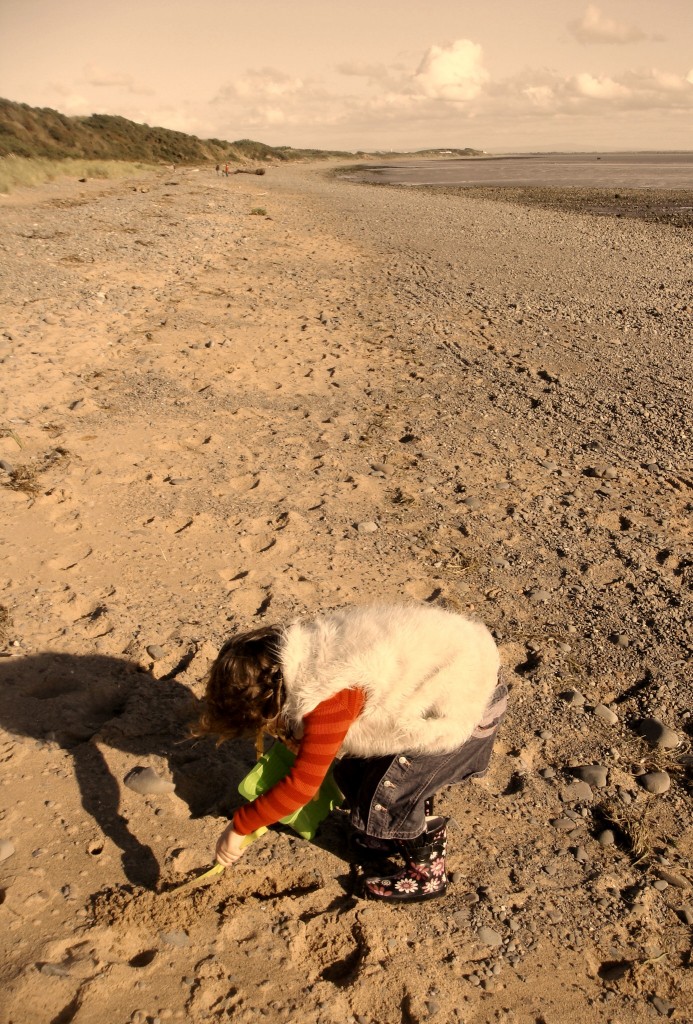 Beach Combing