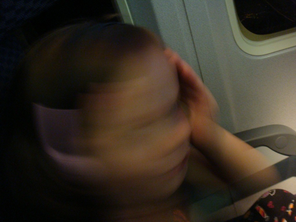 Insane on a Plane