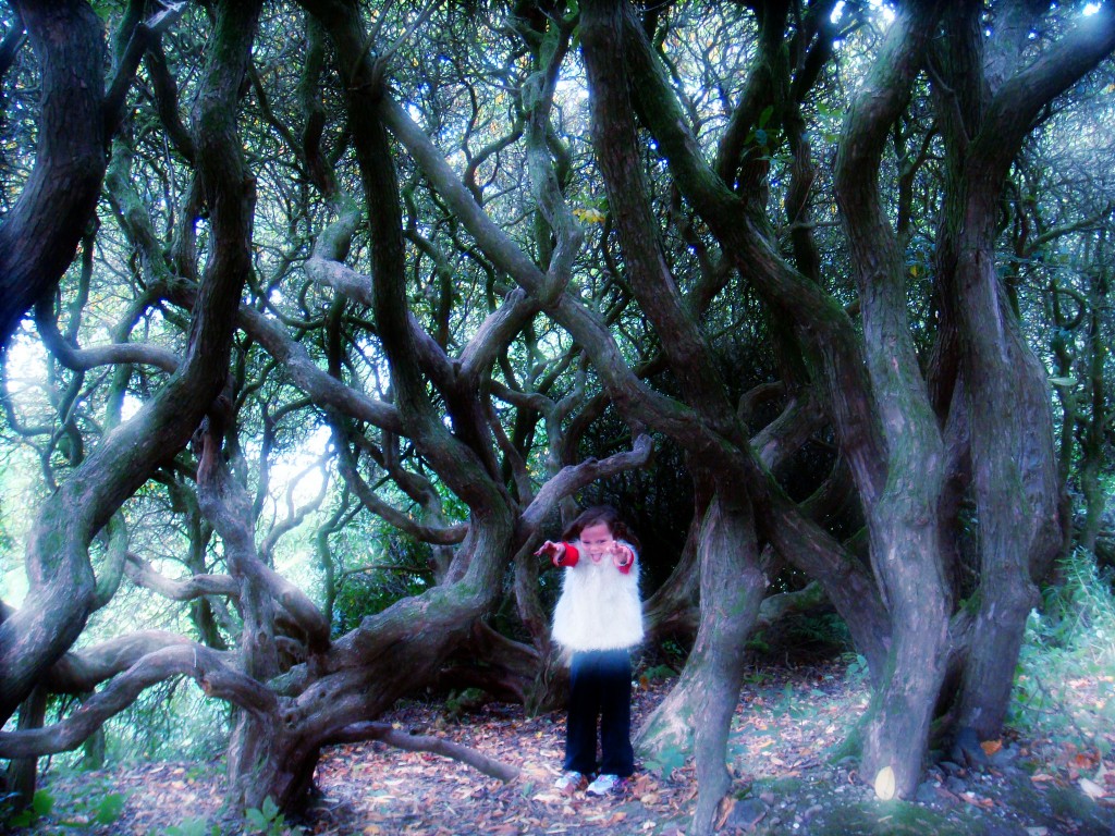 Witch in the rhododendron