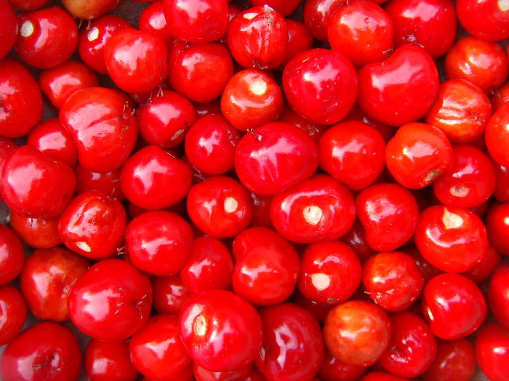Barbados cherries
