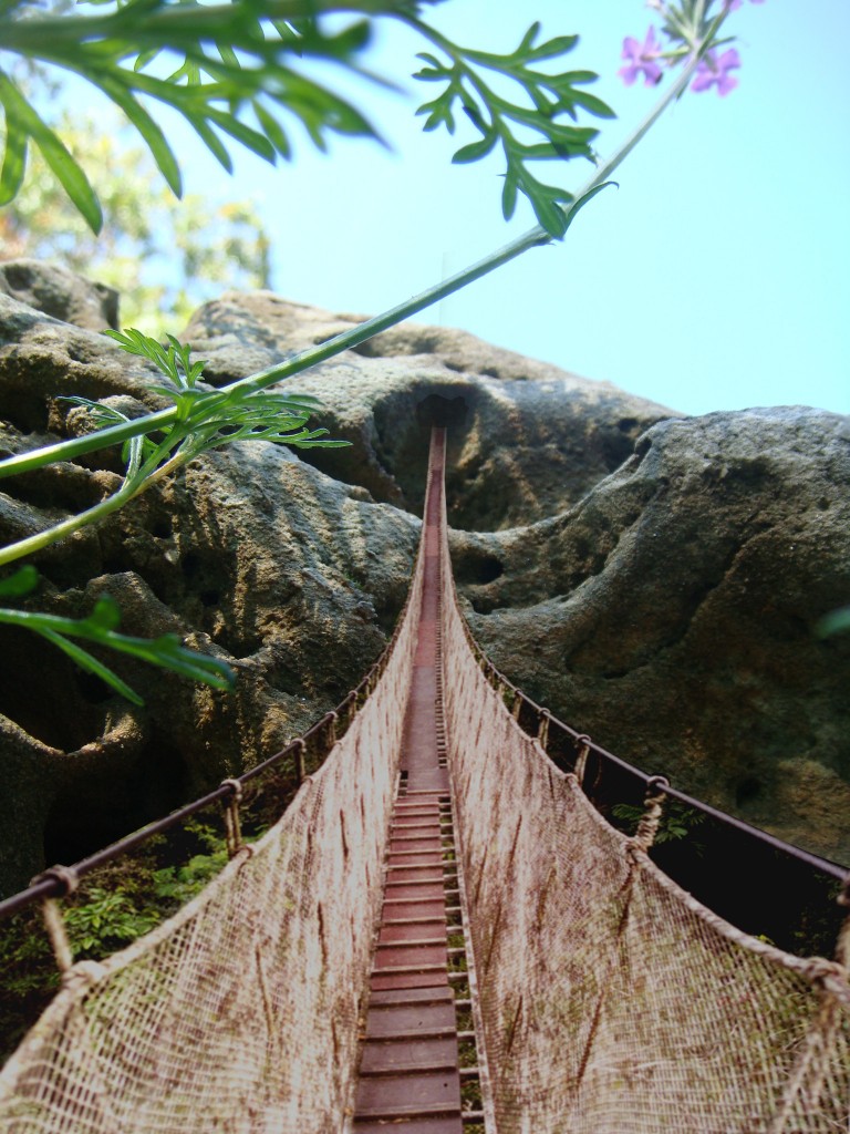 rope_bridge