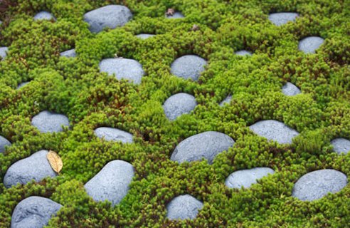 garden-pebbles-lg--gt_full_width_landscape