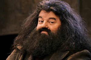 sym_hagrid