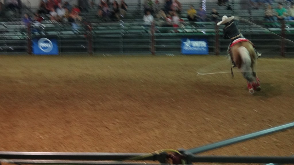 lasso DSC00362