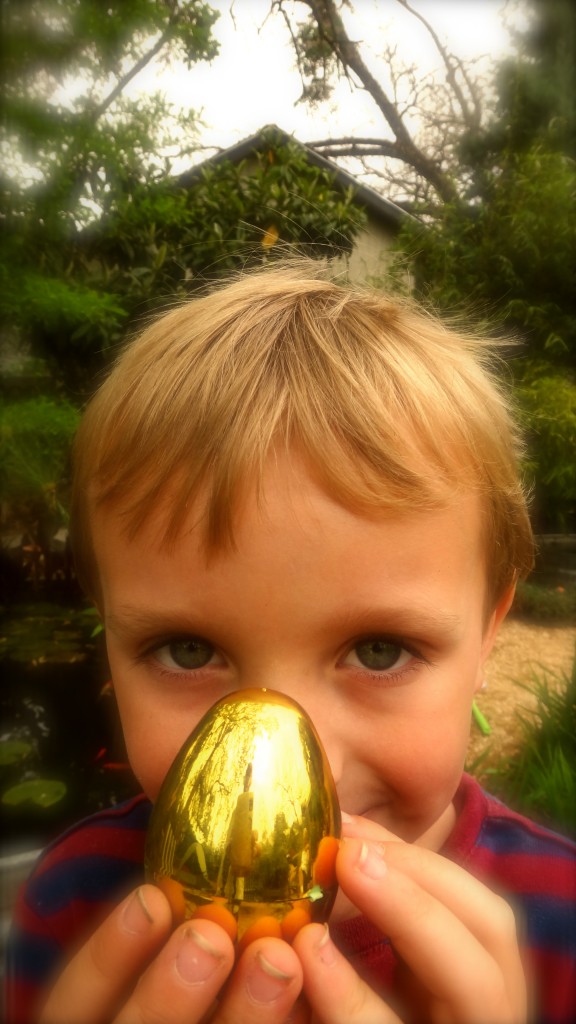 the_golden_egg DSC00689