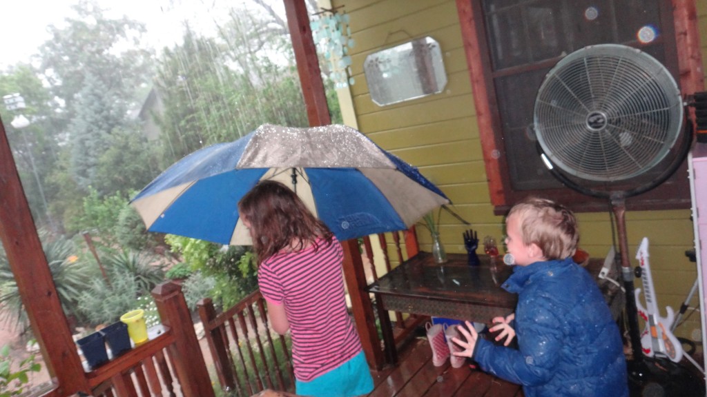rain DSC00702