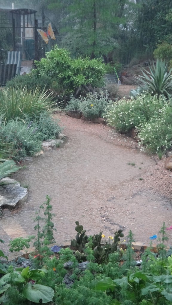 water_channelling back_garden