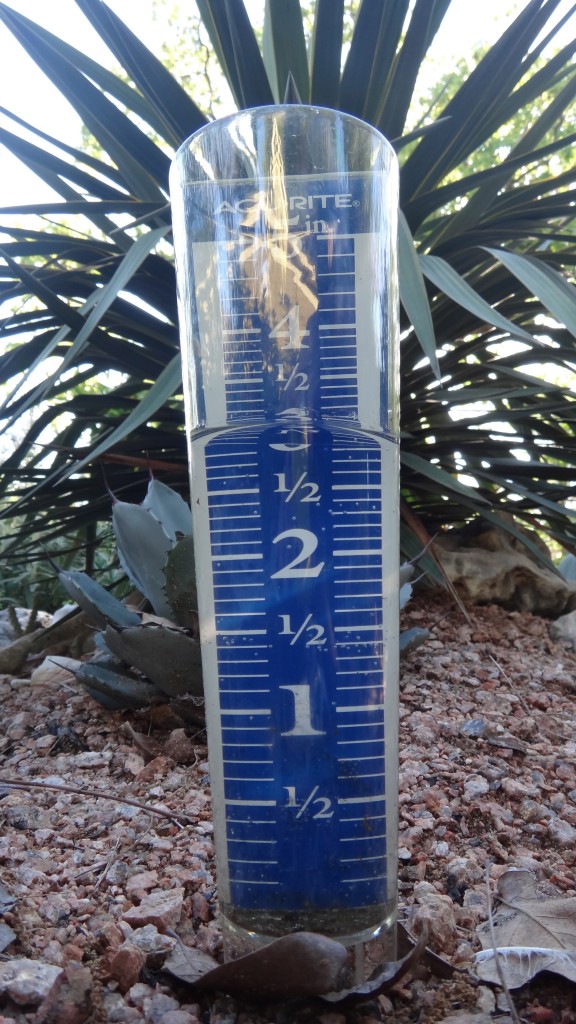 rain_gauge DSC00730