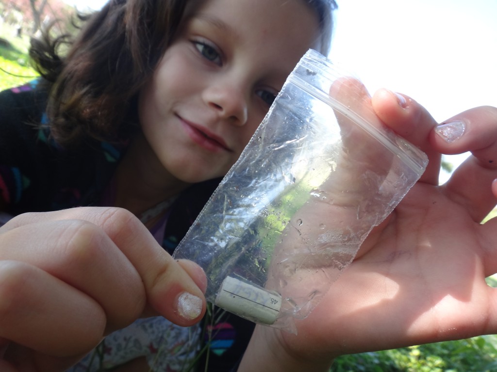 Geocache