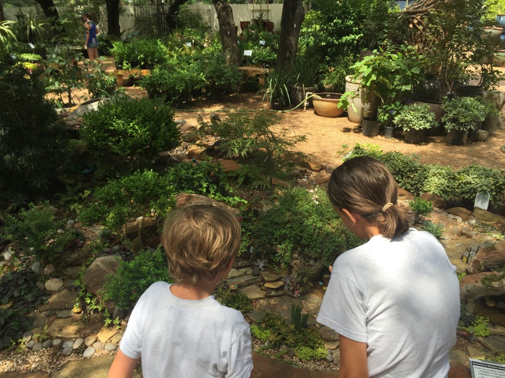 Hill Country Water Gardens