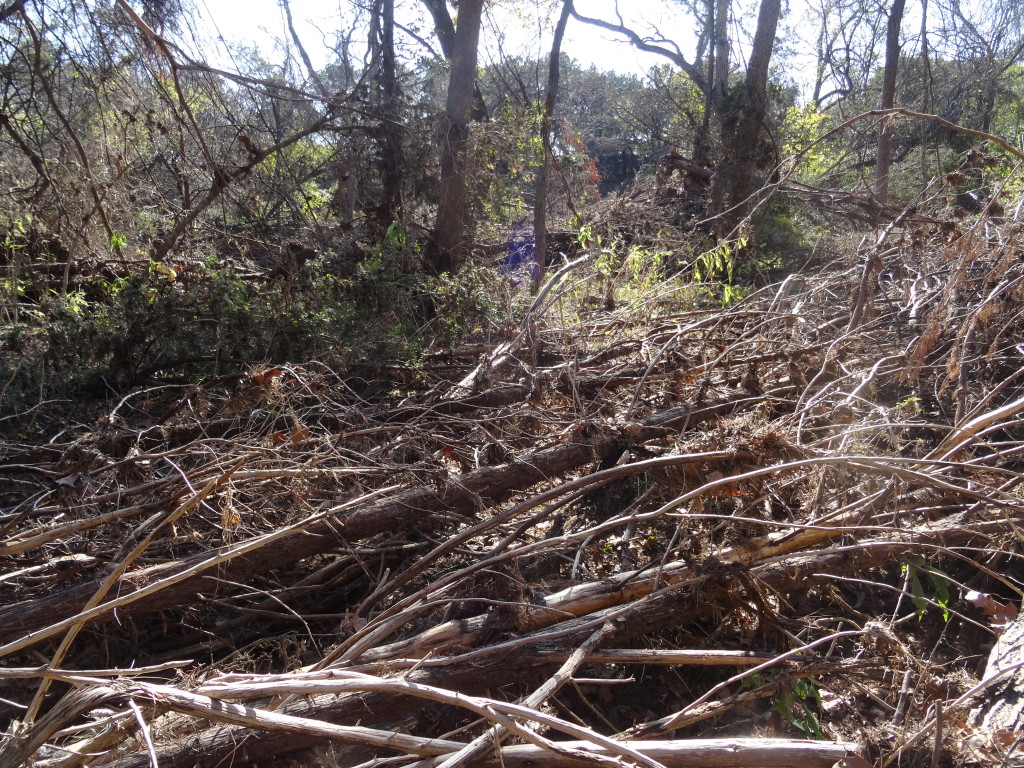 Flood Damage