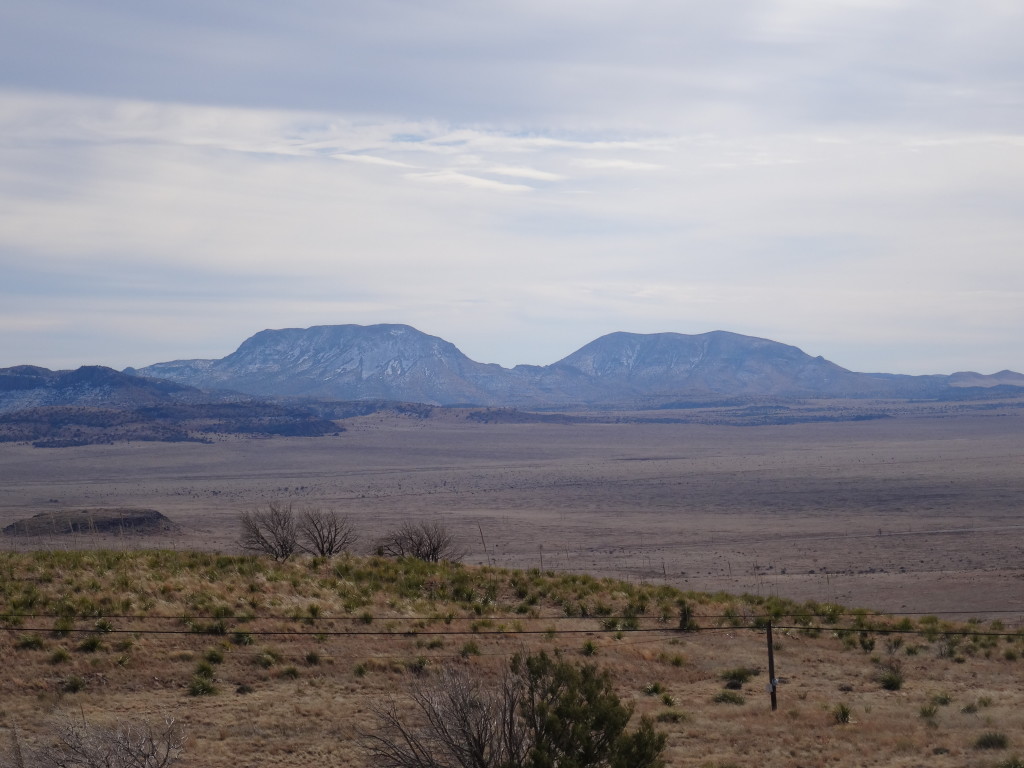 Chihuahuan Desert