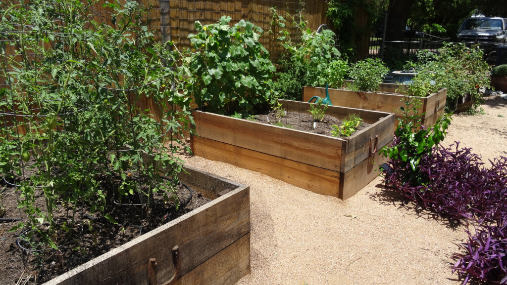 vegetable beds