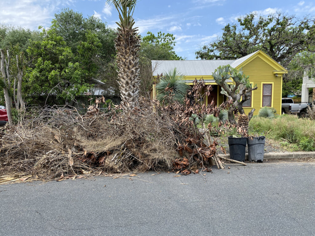 Brush pick-up